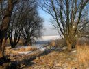 elbe feriendorf altes land deich 