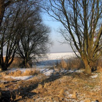 elbe feriendorf altes land deich 