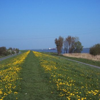 elbe feriendorf altes land deich 