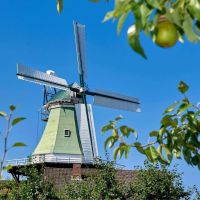 feriendorf altes land elbe  muehle