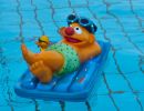 elbe freibad hollern twielenfleth 