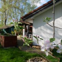 ferienhaus altes land ankerglueck aussenansicht hollern twielenfleth elbe 