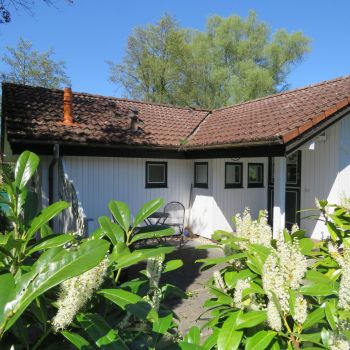 ferienhaus altes land ankerglueck aussenansicht hollern twielenfleth elbe 