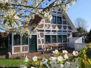 ferienhaus elbstar altes land hollern twielenfleth elbe 