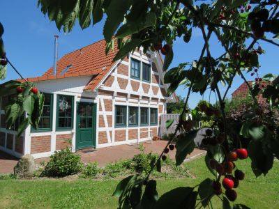 Ferienhaus Elbstar