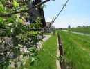 ferienhaus hanse altes land hollern twielenfleth elbe 