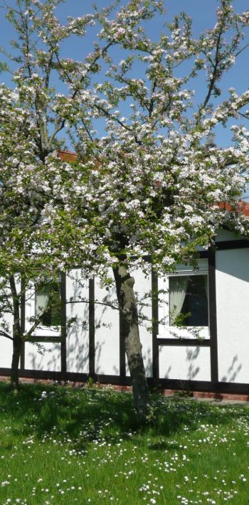 ferinehaus kogge