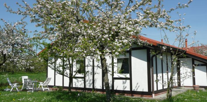 ferinehaus kogge
