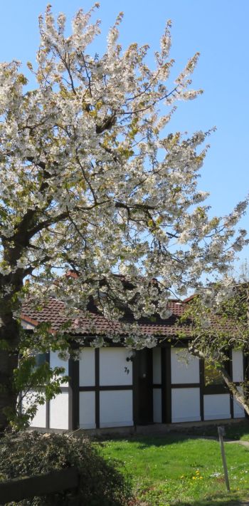 ferienhaus scout feriendorf altes land elbe 79 