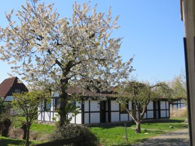 Ferienhaus Scout 42 