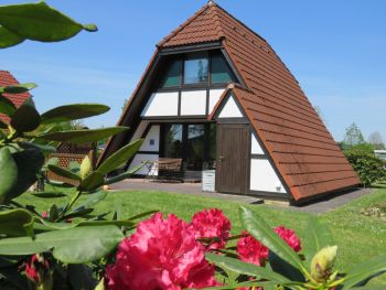 ferienhaus scout 42 feriendorf altes land elbe 111 