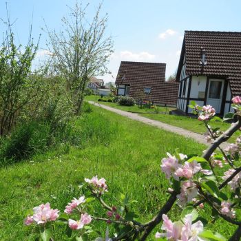 feriendorf altes land mai 16