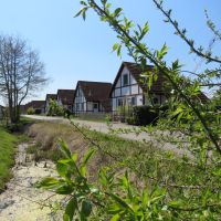 ferinedorf ales lan im  dorf 