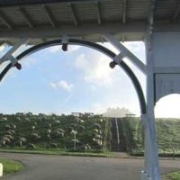 tor