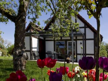 ue ferienhaus scout 60 2 webpx